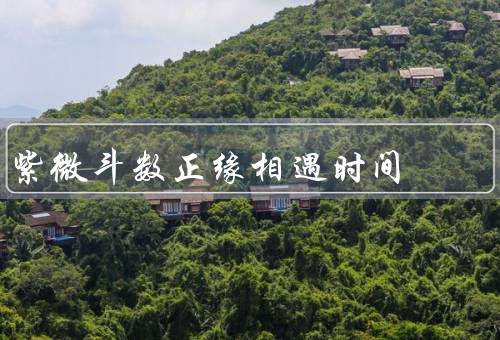 紫微斗数正缘相遇时间，时机／特点／如何把握时机