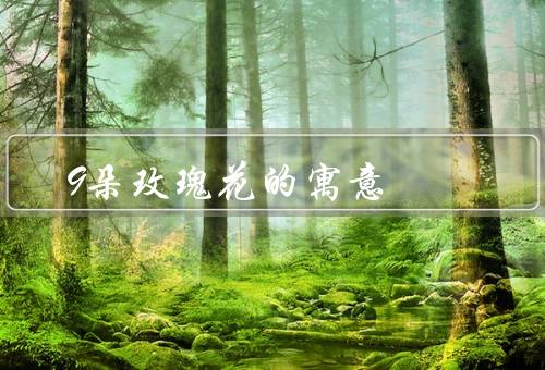 9朵玫瑰花的寓意（爱情寓意／友情寓意／祝福寓意）