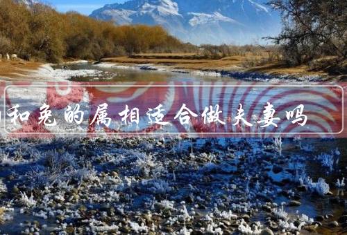 狗和兔的属相适合做夫妻吗，性格特点、相处模式、共同点