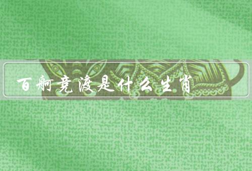 百舸竞渡是什么生肖，百舸竞渡／文化内涵／现代竞渡
