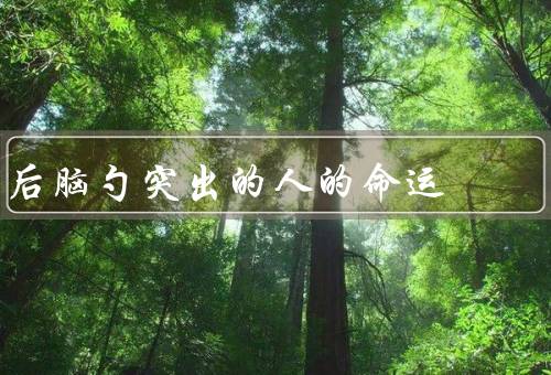 后脑勺突出的人的命运，自信与坚强／坚持与努力／成功与成就