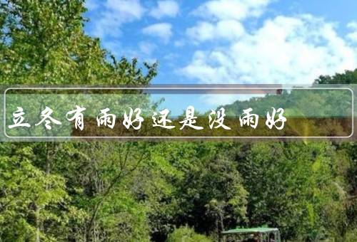 立冬有雨好还是没雨好，有雨好、没雨好、结论
