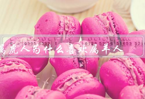 属虎人为什么喜欢属羊人（互补性格／共同价值观／相互扶持）