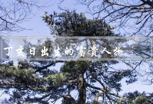 丁亥日出生的富贵人物，聪明才智／勤奋努力／理财投资