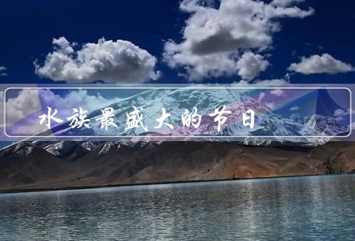水族最盛大的节日，端午节／粽子／赛龙舟