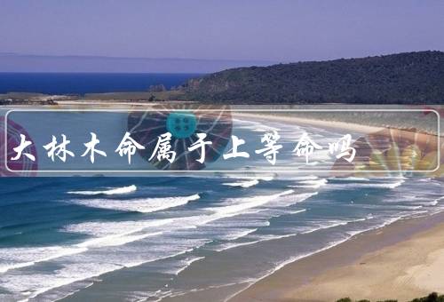 大林木命属于上等命吗，生态功能／经济价值／不确定性