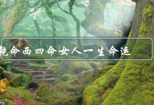 乾命西四命女人一生命运，个性特点、事业发展、家庭和感情生活