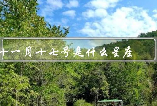 十一月十七号是什么星座（性格特点、爱情观、职业发展）