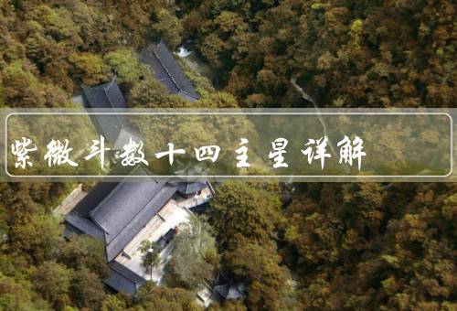 紫微斗数十四主星详解，紫微主星／天府主星／天相主星