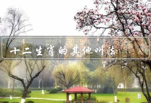 十二生肖的其他叫法（鼠、牛、虎）