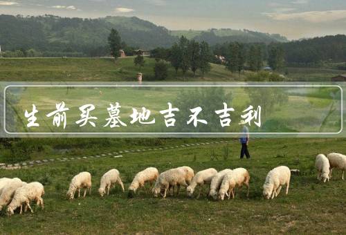生前买墓地吉不吉利（买墓地的观念／宗教信仰的影响）