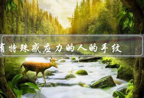 有特殊感应力的人的手纹（外观特征／与神经系统关系／意义和应用）