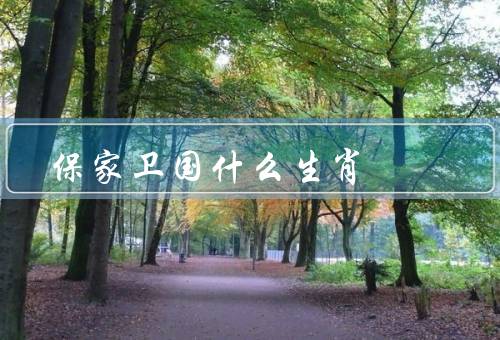 保家卫国什么生肖，机智和灵敏／忍耐和坚韧／聪明和勇敢