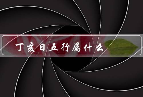 丁亥日五行属什么（特点／事业与财运／人际关系和健康）