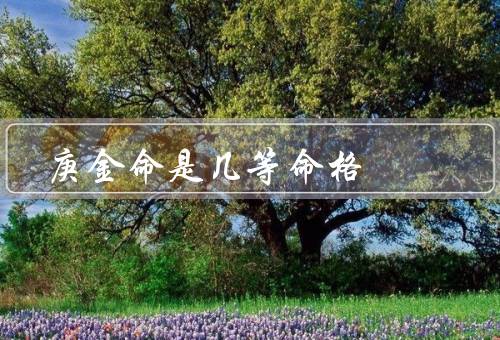 庚金命是几等命格，特点／等级／发展方向