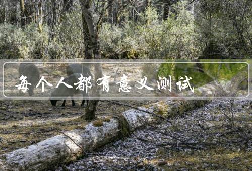每个人都有意义测试（有独特的个性和才能／可以影响他人）