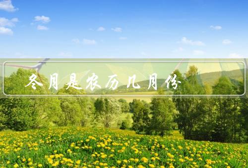 冬月是农历几月份（特征、节日、习俗）