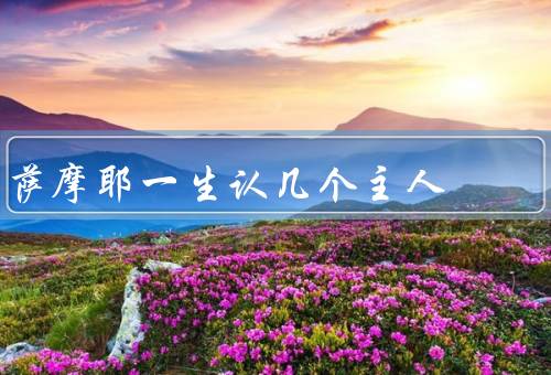 萨摩耶一生认几个主人，认主人数量／主人的重要性／建立新的关系