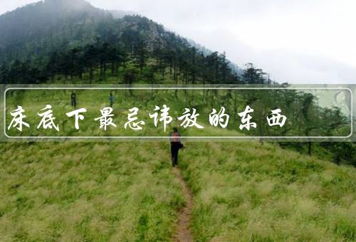 床底下最忌讳放的东西，钱财、食物、化学品
