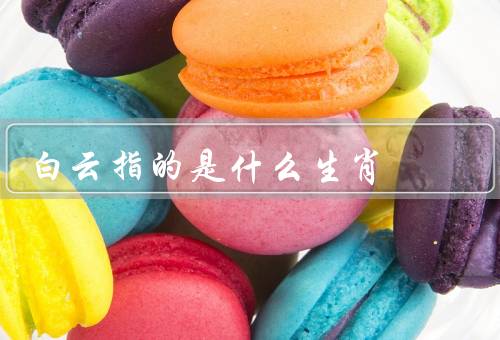 白云指的是什么生肖，白云象征／特点／发展方向