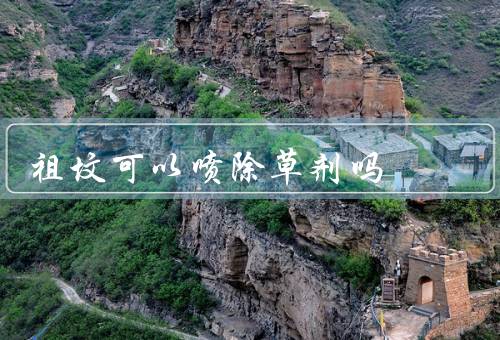 祖坟可以喷除草剂吗（意义／除草剂的使用／是否适合喷撒除草剂）