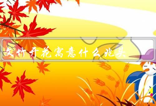 文竹开花寓意什么兆头风水（吉祥／繁荣／意义）