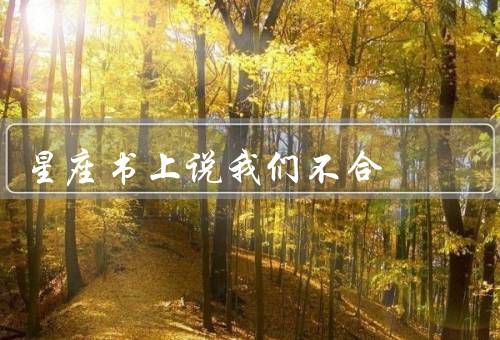 星座书上说我们不合（星座书上说不合、相似之处、相处之道）