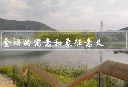 金蟾的寓意和象征意义（财富与财运／吉祥与福禄／智慧与智慧）