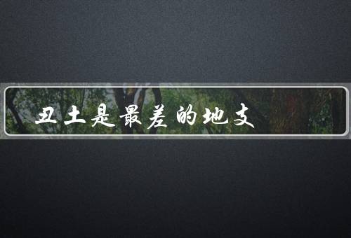 丑土是最差的地支，五行对比／生肖运程／事业财运