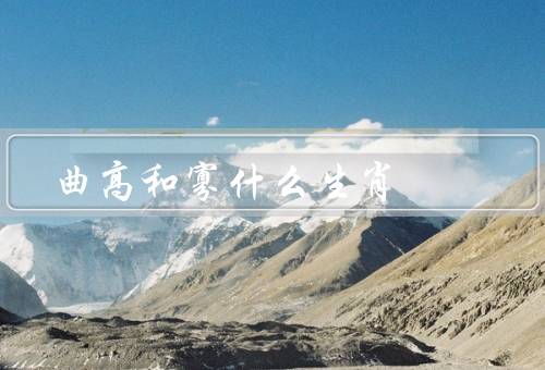 曲高和寡什么生肖，鼠／蛇／猴