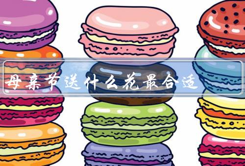 母亲节送什么花最合适（红玫瑰／康乃馨／百合）