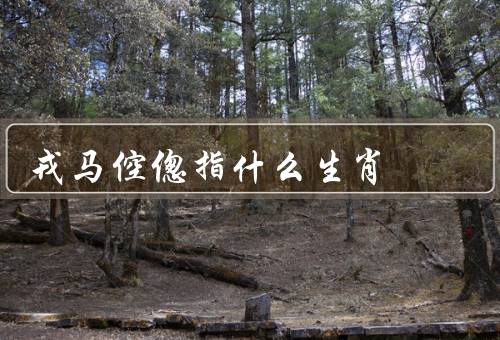 戎马倥偬指什么生肖，戎马倥偬／特点／运势