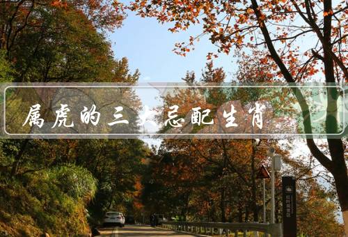 属虎的三大忌配生肖（猴、蛇、猪）