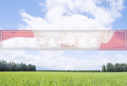 梦见下雨是什么意思，下雨的象征意义／大雨的意义／细雨的意义