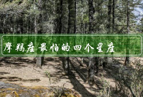 摩羯座最怕的四个星座，白羊座／巨蟹座／双子座