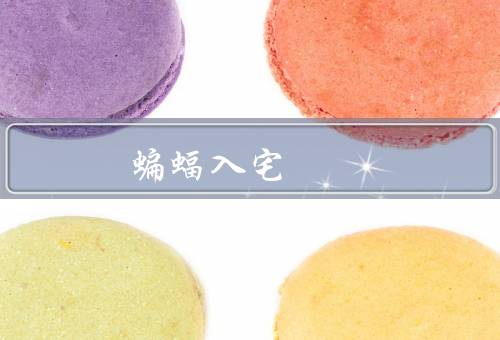 蝙蝠入宅 家里要发大财，来历／好处／如何吸引