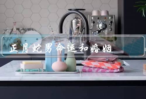 正月蛇男命运和婚姻（命运／婚姻／总结）