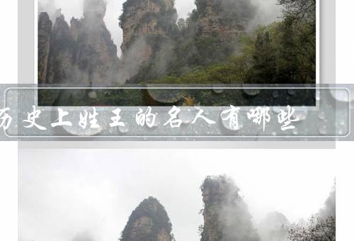 历史上姓王的名人有哪些（文王／王安石／王羲之）