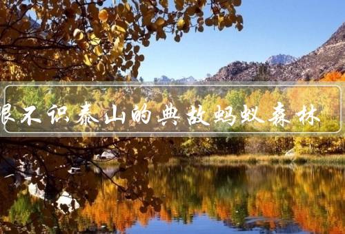 有眼不识泰山的典故蚂蚁森林，眼界狭窄／缺乏环保意识