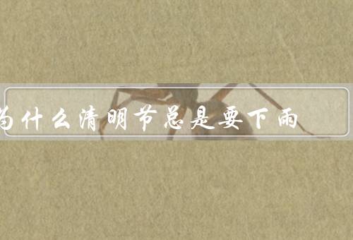 为什么清明节总是要下雨，气象因素、历史传统、文化内涵