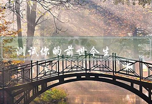 测试你的前世今生，回忆法／灵感法／催眠法