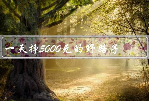 一天挣5000元的野路子，创意拍摄、线上、二手物品交易