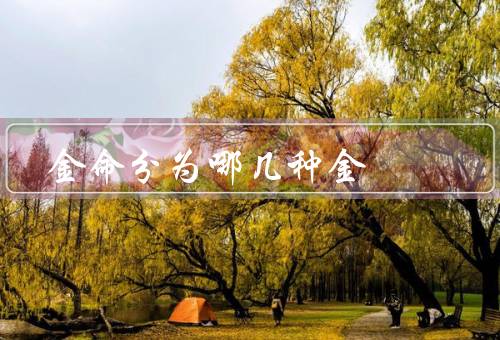 金命分为哪几种金，黄金命、白金命、青金命