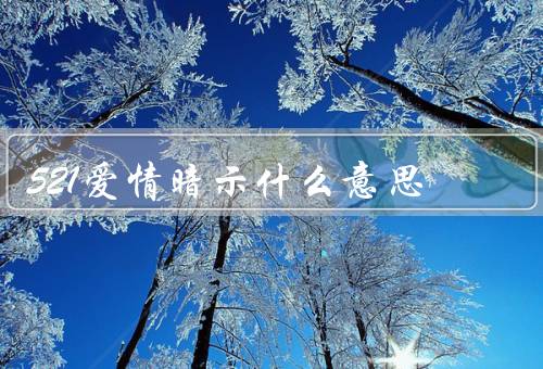 521爱情暗示什么意思（开始、承诺、祝福）
