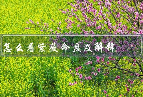 怎么看紫薇命盘及解释，基本构成／如何看／解释