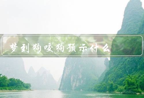 梦到狗咬狗预示什么，梦境的象征／人际关系中的冲突／内心的矛盾