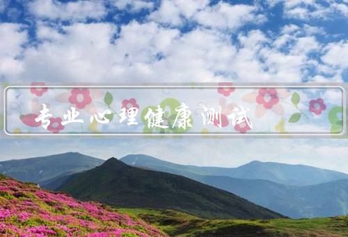 专业心理健康测试，评估个体心理健康／辅助心理治疗和咨询
