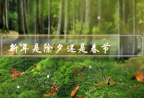 新年是除夕还是春节，春节、与春节的关系