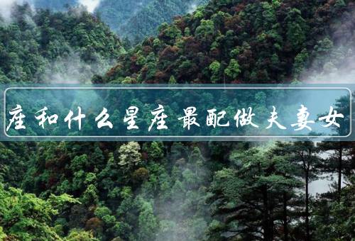金牛座和什么星座最配做夫妻女，优点互补、共同追求目标
