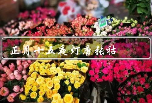 正月十五夜灯唐张祜，夜灯明／寄情于夜／灯火阑珊